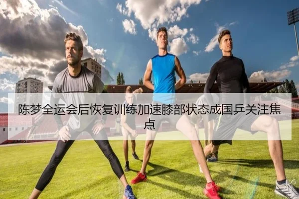 陈梦全运会后恢复训练加速膝部状态成国乒关注焦点（OETYSPORTS）